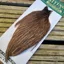 Whiting Hebert Miner Hen Cape in Dark Brown Dun